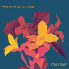 Where Have You Gone by Trillium album reviews, ratings, credits