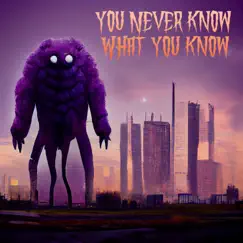 You Never Know What You Know - Single by Jacob Rothschild album reviews, ratings, credits