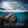 Shallow Waters - Single album lyrics, reviews, download