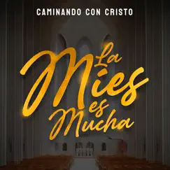 Iglesia Peregrina Song Lyrics