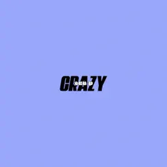 Crazy - Single by SEB P album reviews, ratings, credits