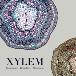 Xylem by Emancipator, Rena Jones & Flowerpulse album reviews, ratings, credits