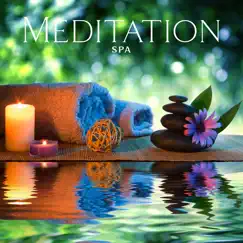 Meditation Spa (Healing Flute for Massage and Relaxing Music Therapy for Stress Relief) by Reiki Healing Zone, Spa Music Consort & Massage Beauty Sanctuary album reviews, ratings, credits