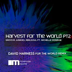 Harvest for the World, Pt. 2 (feat. Nichelle Monroe) [David Harness for the World Remix] Song Lyrics