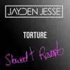 Torture (Slowed + Reverb) - Single album lyrics, reviews, download