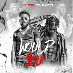Would you? (feat. Aamin) - Single by K-Win album reviews, ratings, credits