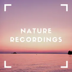 Sleep Sounds for Nature - EP by Natural Sample Makers, Natural Sound Makers & Nature Recordings album reviews, ratings, credits