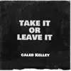 Take It or Leave It - Single album lyrics, reviews, download
