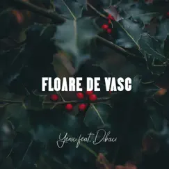 Floare de vasc (feat. Dibaci) Song Lyrics