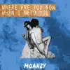 whereareyounowwhenIneedyou - Single album lyrics, reviews, download