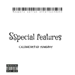 Special features (feat. Cxldheartxd yungboy) Song Lyrics