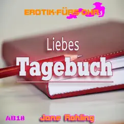Teil 10 - Liebes Tagebuch... Song Lyrics
