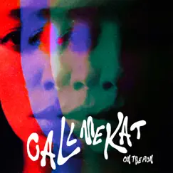 On the Run - Single by CALLmeKAT album reviews, ratings, credits