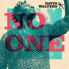 No One - Single by David Walters album reviews, ratings, credits
