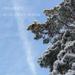 So Much Joy in Here - EP by Find Peace album reviews, ratings, credits
