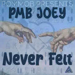 Never Felt - Single by PMB Joey album reviews, ratings, credits