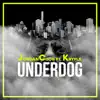 Underdog (feat. Kryple) - Single album lyrics, reviews, download