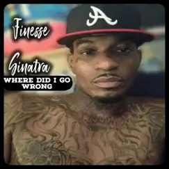 Where Did I Go Wrong - Single by Finesse Sinatra album reviews, ratings, credits