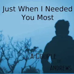 Just When I Needed You Most (Live from World Market Center, Las Vegas) - Single by A Couple of Andrews album reviews, ratings, credits