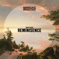 Reminisence - Single by B.Ross album reviews, ratings, credits