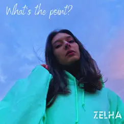 What's the Point? - Single by Zelha album reviews, ratings, credits