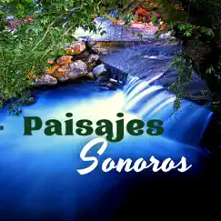 Paisajes Sonoros – Música de Relajación con Sonidos Ambientales by Shiatsu Guru & Ambient album reviews, ratings, credits