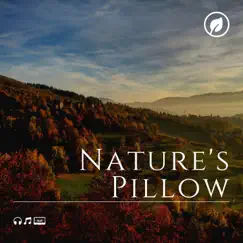 Nature's Pillow by Mother Nature Sound FX album reviews, ratings, credits