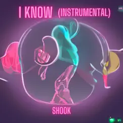 I Know (Instrumental) - Single by Shook album reviews, ratings, credits