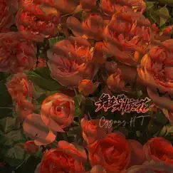 舞蝶驚花 - Single by Cygnus.HT姜藝坤 album reviews, ratings, credits