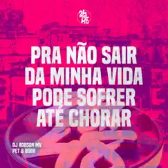 Pra Não Sair da Minha Vida - Pode Sofrer Até Chorar Song Lyrics