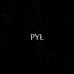 PYŁ - Single by Wanessa Mocza & YNZ album reviews, ratings, credits