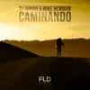 Caminando - Single album lyrics, reviews, download