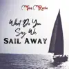 What Do You Say We Sail Away - Single album lyrics, reviews, download