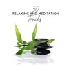 50 Relaxing and Meditation Tracks album lyrics, reviews, download