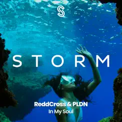 In My Soul - Single by ReddCross & PLDN album reviews, ratings, credits
