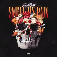 Smell My Pain - Single by JungleBoY album reviews, ratings, credits