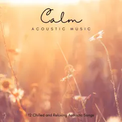 Calm Acoustic Music: 12 Chilled and Relaxing Acoustic Songs by Various Artists album reviews, ratings, credits