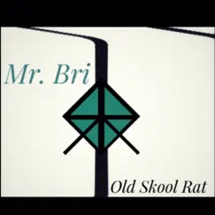 Mr. Bri - Single by Old Skool Rat album reviews, ratings, credits