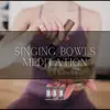 Singing Bowls Meditation album lyrics, reviews, download