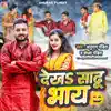 Dekha Sadhu Bhai - Single album lyrics, reviews, download