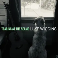 Tearing at the Seams - Single by Luke Wiggins album reviews, ratings, credits