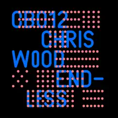 Endless - EP by Chris Wood & Christian Burkhardt album reviews, ratings, credits