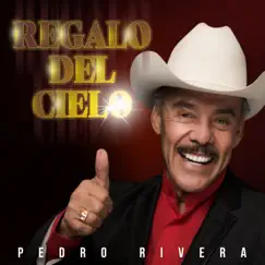 Regalo del Cielo - Single by Pedro Rivera album reviews, ratings, credits
