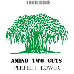 Perfect Flower - Single by Amind Two Guys album reviews, ratings, credits