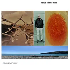 Organometallic by Factual Lifetime Mode album reviews, ratings, credits