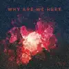 Why Are We Here - Single album lyrics, reviews, download