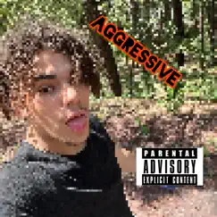 Aggresive - Single by IBG album reviews, ratings, credits