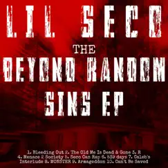 The Beyond Random Sins EP by Lil seco album reviews, ratings, credits