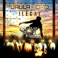 Mi Jaula De Oro (Ilegal) - Single by Conjunto Sol De Ojinaga album reviews, ratings, credits