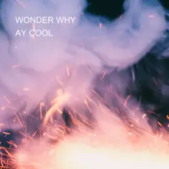 Wonder Why - Single by Ay Cool album reviews, ratings, credits
